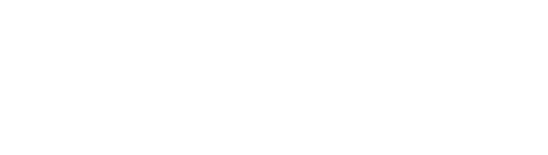 Lokin Logo